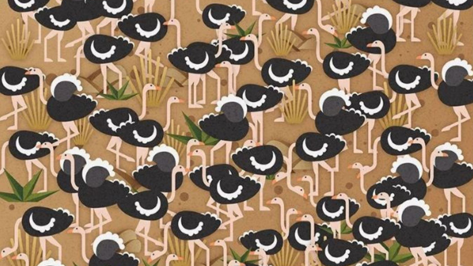 Resimde saklı şemsiyeyi sadece bir dahi 5 saniyede buluyor