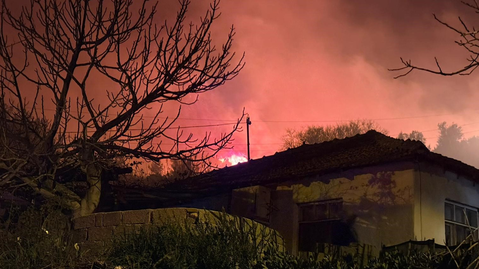 Antalya'da evleri tehdit eden orman yangını kontrol altına alındı