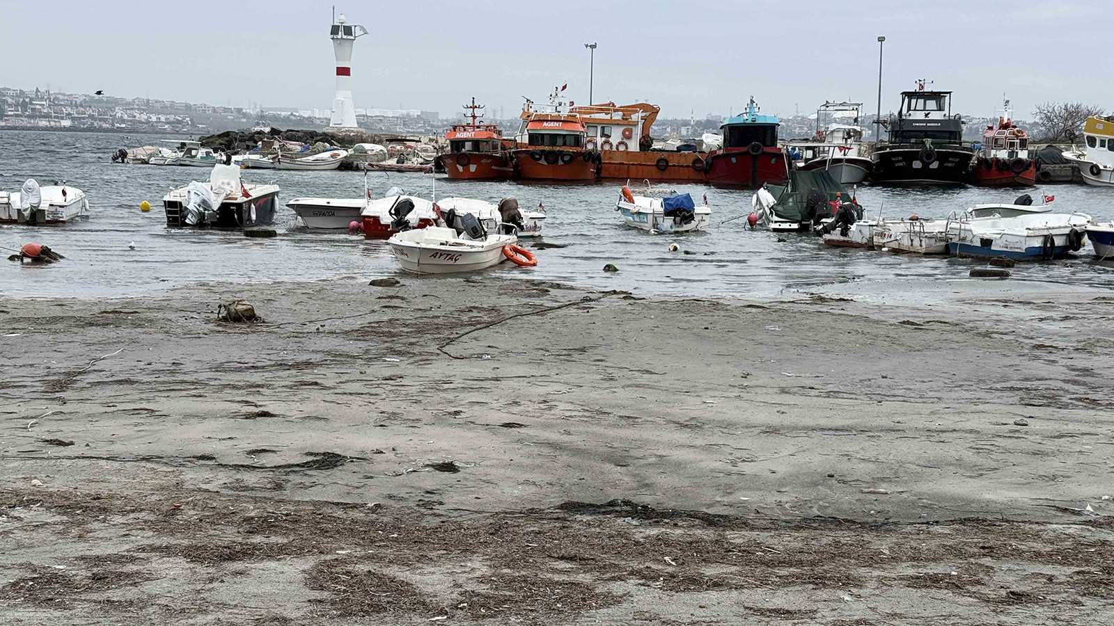 Marmara Denizi'nde tedirgin eden manzara!