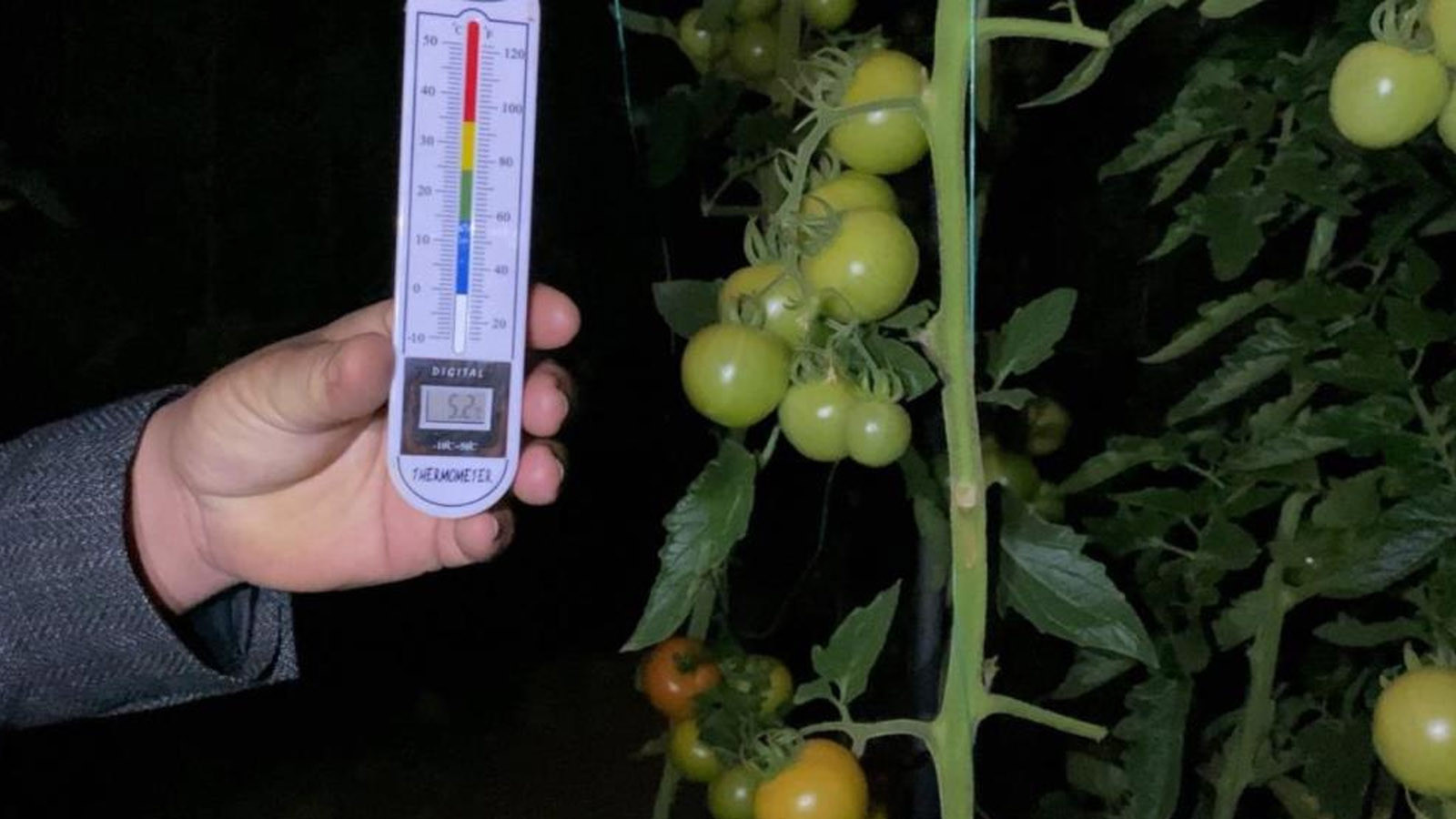 Üreticilerin zorlu mesaisi: Termometreler eksiyi gördü, zirai don nöbeti başladı