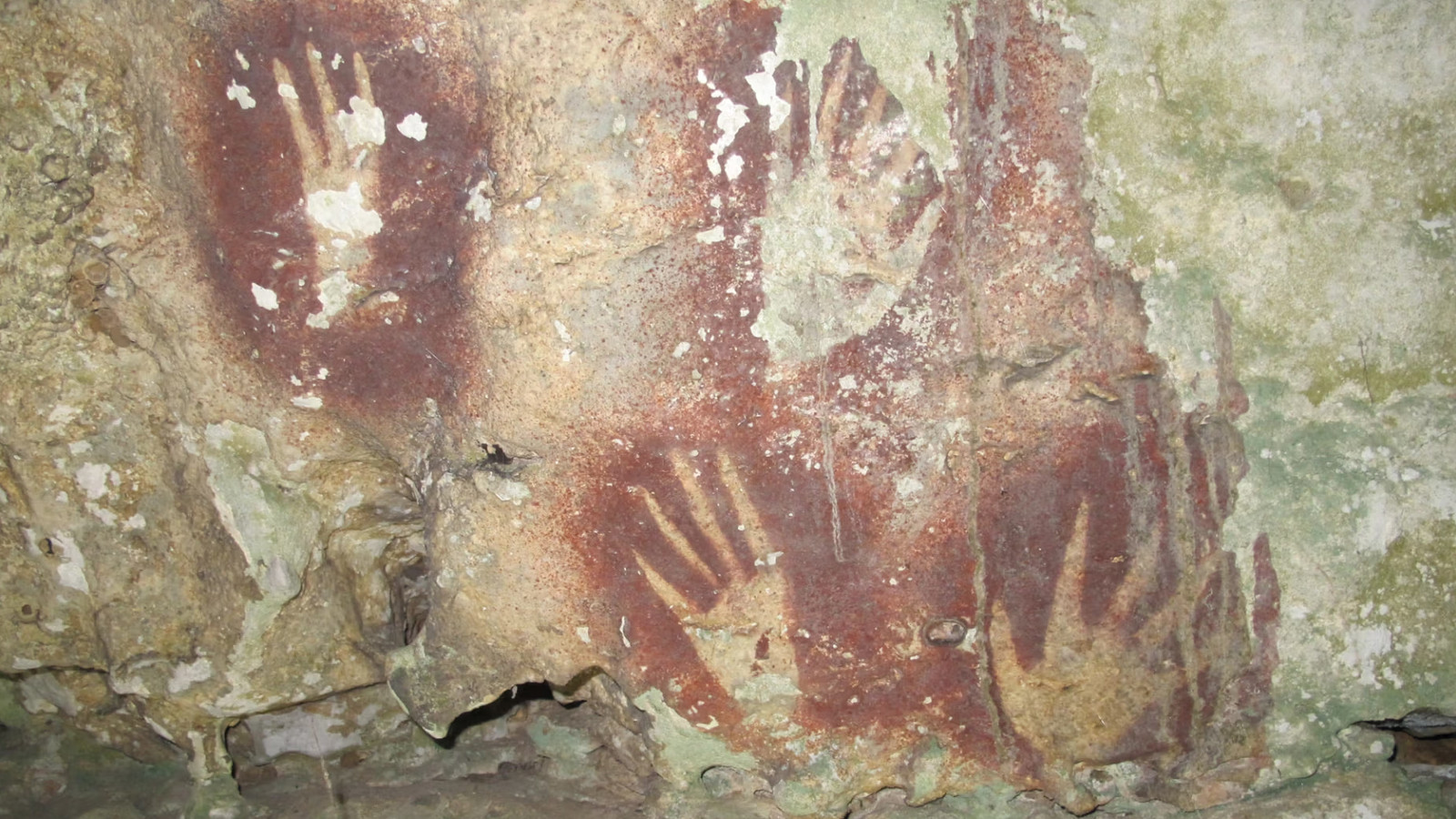 67 bin 800 yaşında... İnsanlığın ilk sanat eseri bulundu