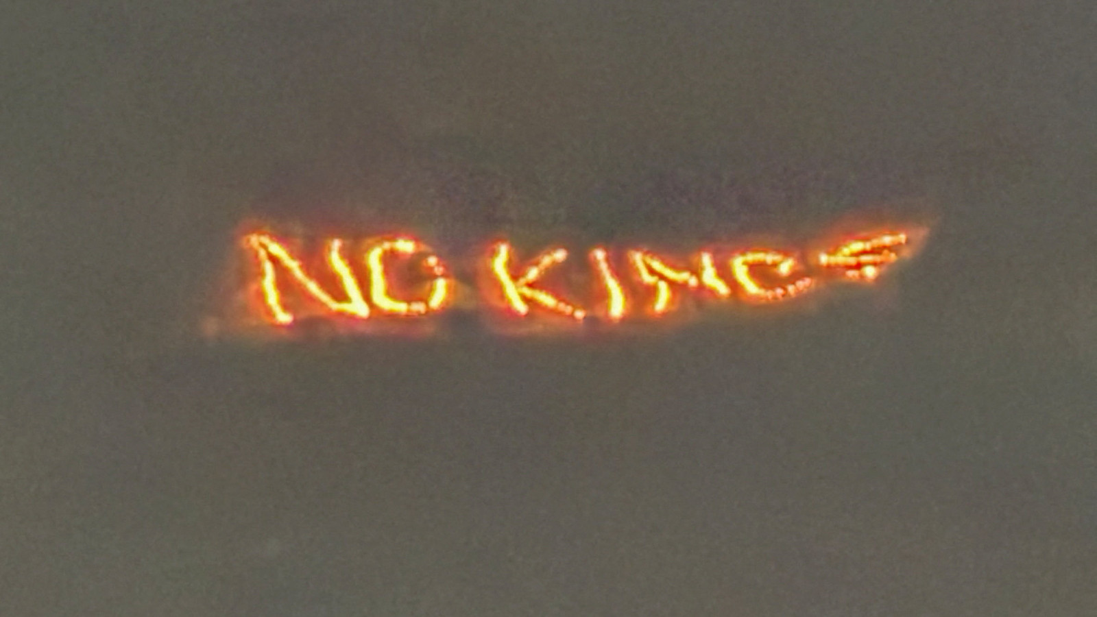 Avrupa'nın aşırı sağ partileri Trump'la aralarına mesafe koydu: Peki ama neden?