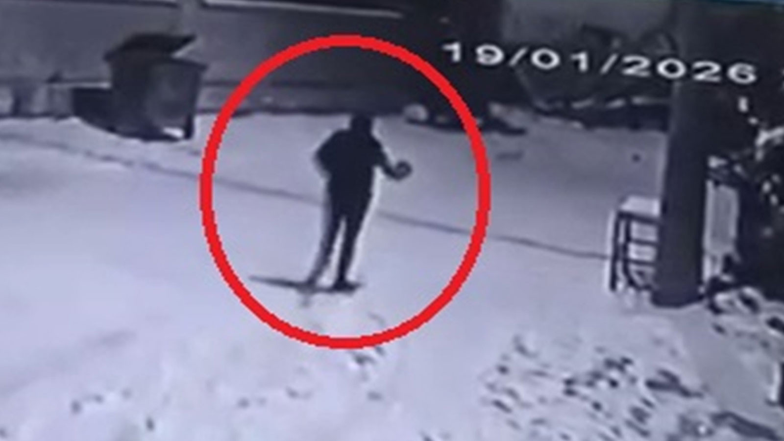 Nevşehir'de akıllara durgunluk veren olay: Kurtları, elinde çaydanlıkla koşarak uzaklaştırdı