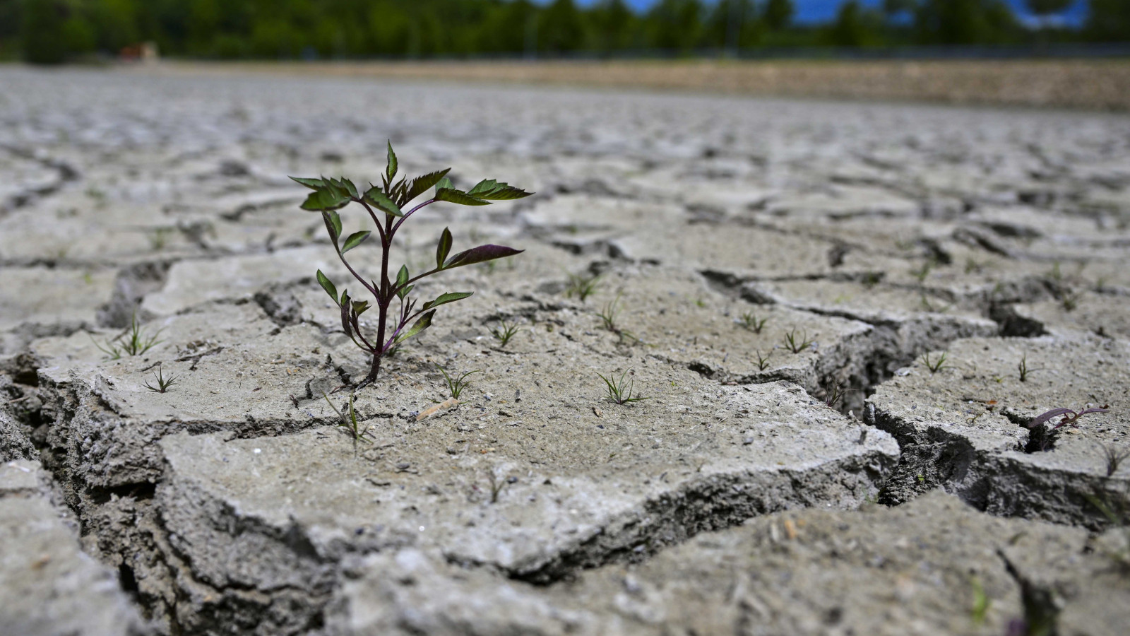 Akdeniz ülkeleri tehlikede... BM Raporu: ''Su iflası' başladı, geri dönülemez noktadayız