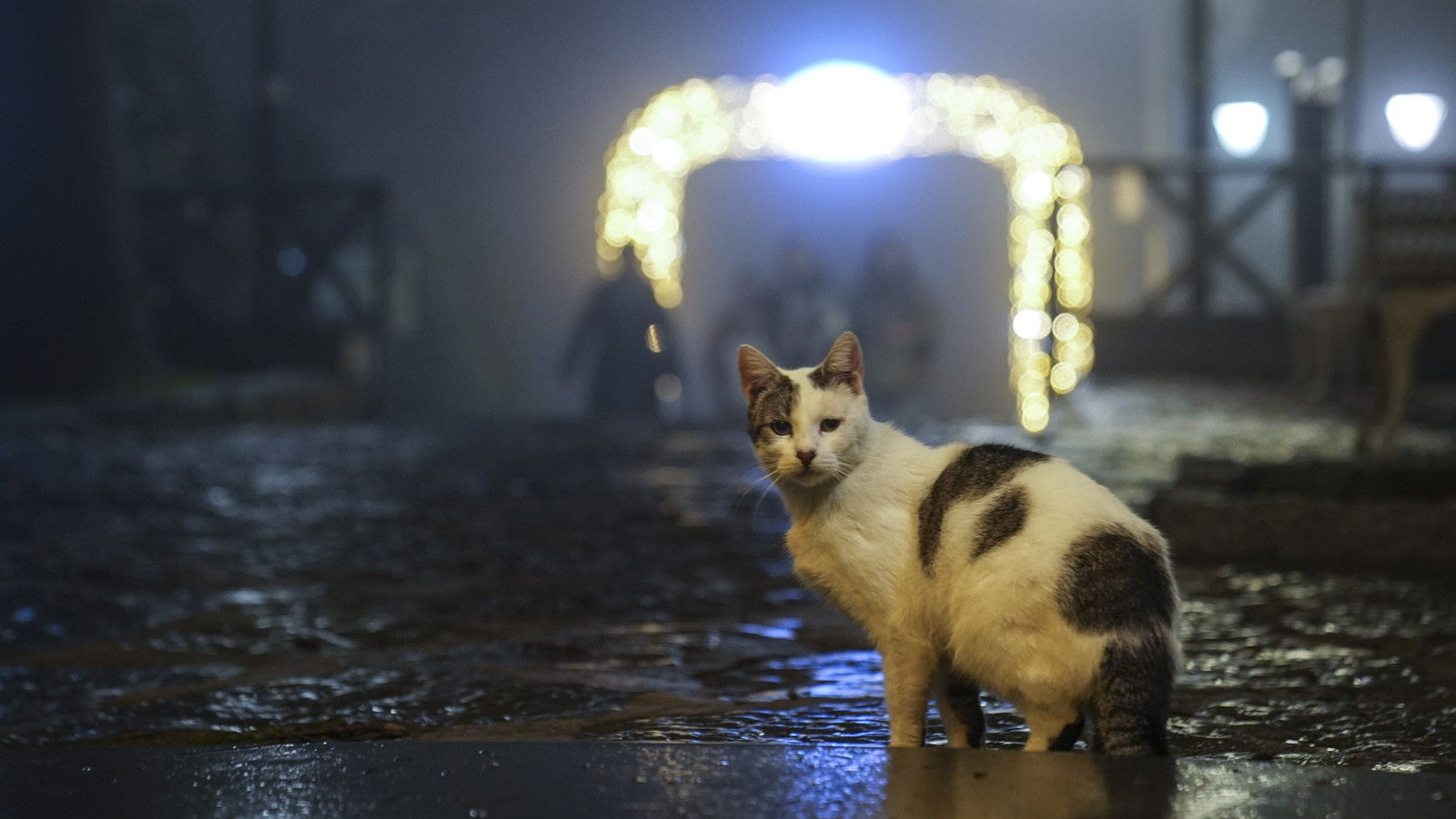 Meteoroloji'den 24 şehrimiz için sis ve pus uyarısı!