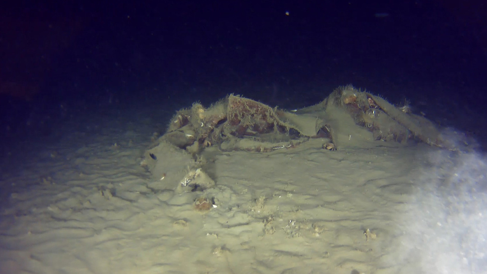 50 yıl önce Marmara Denizi'ne düştü: THY uçağına ait yeni parçalar bulundu