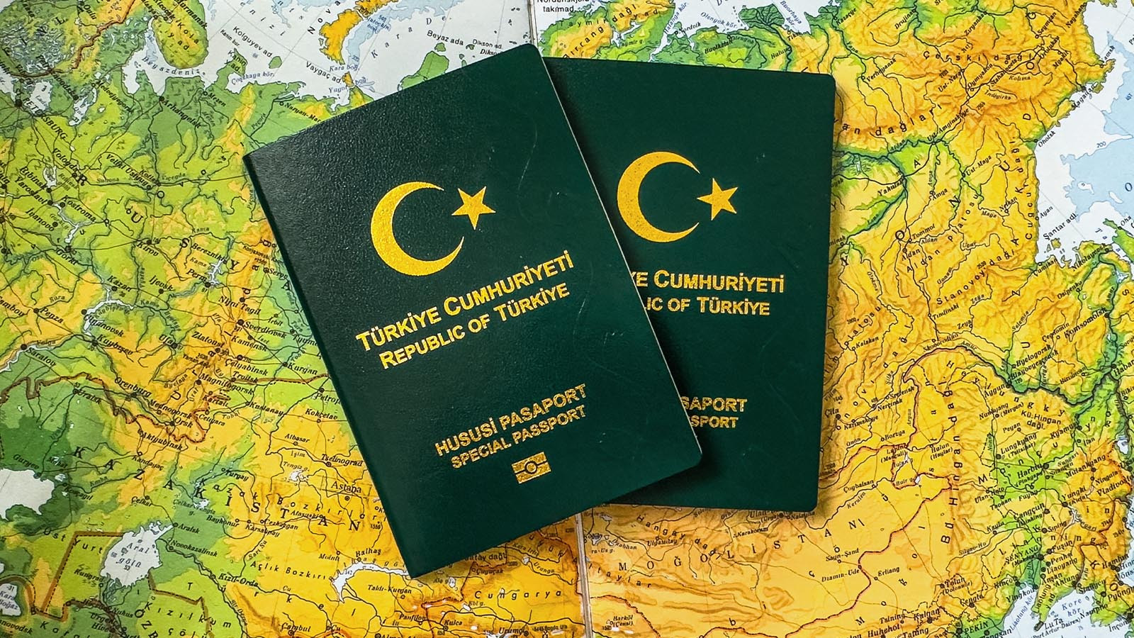 Kesin çözüm Gümrük Birliği! Her yönüyle yeşil pasaport