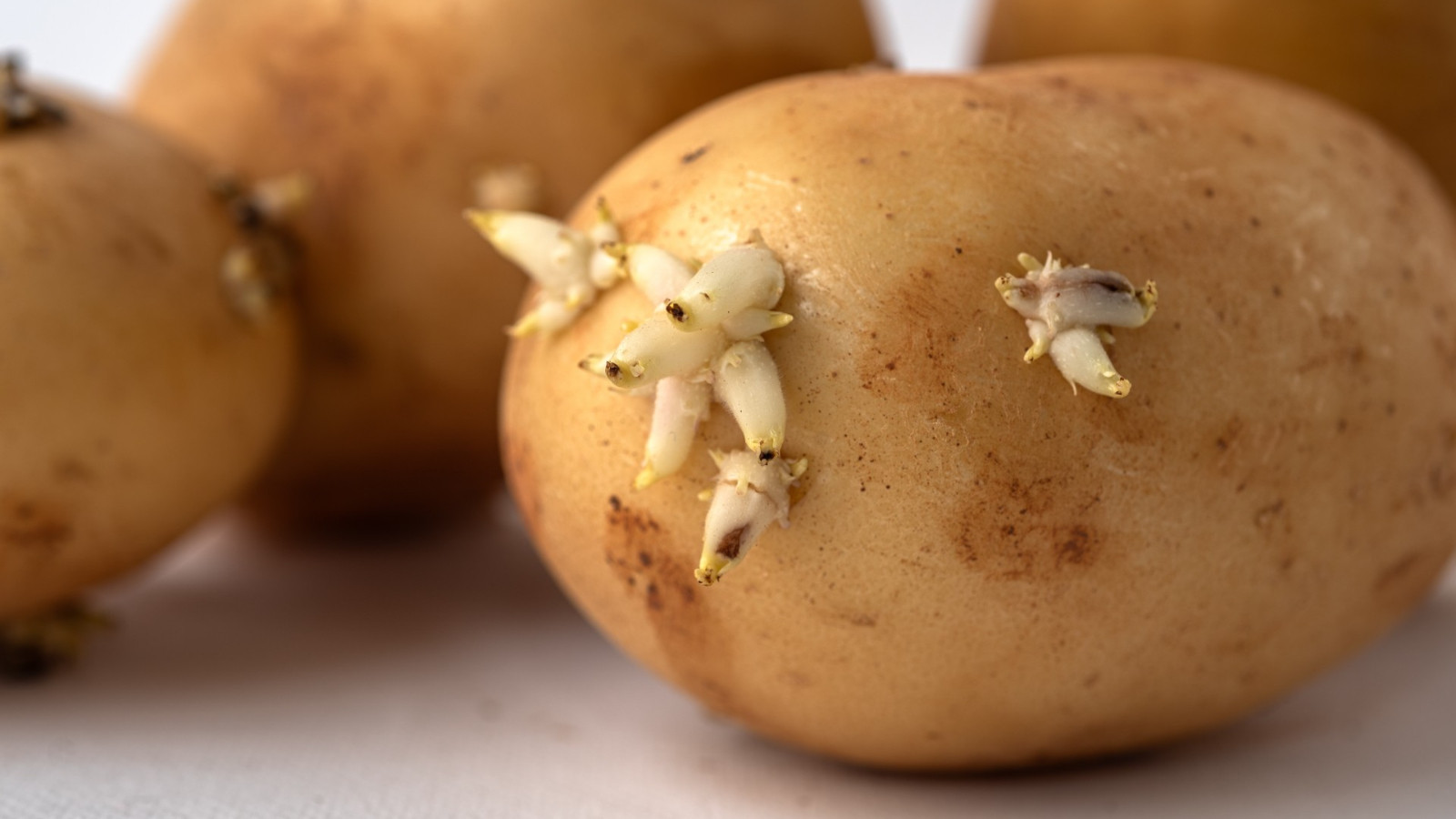 Patatesleriniz böyle saklayınca asla filizlenmeyecek!