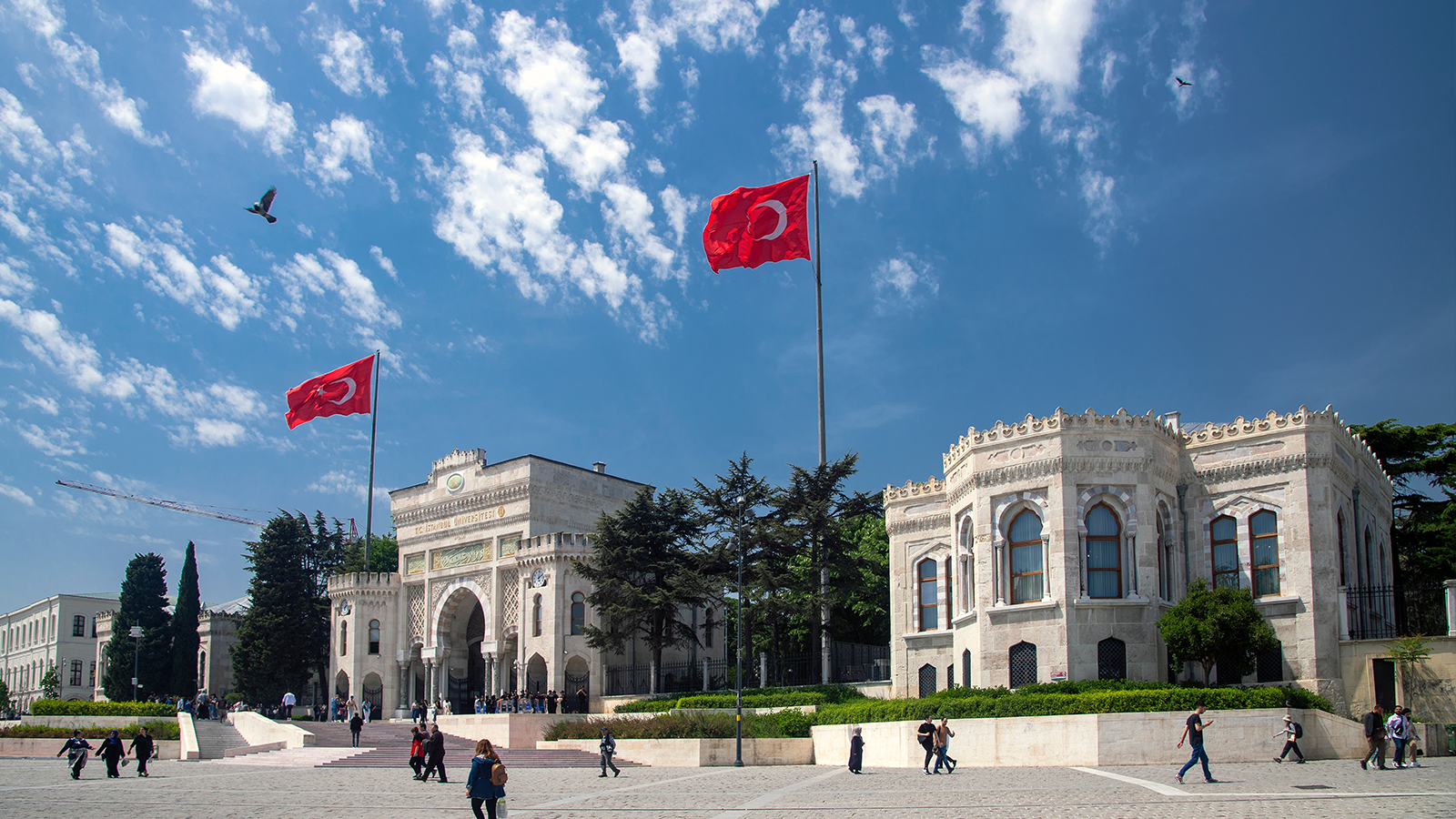 Profesör sayısı asistan sayısını geçti