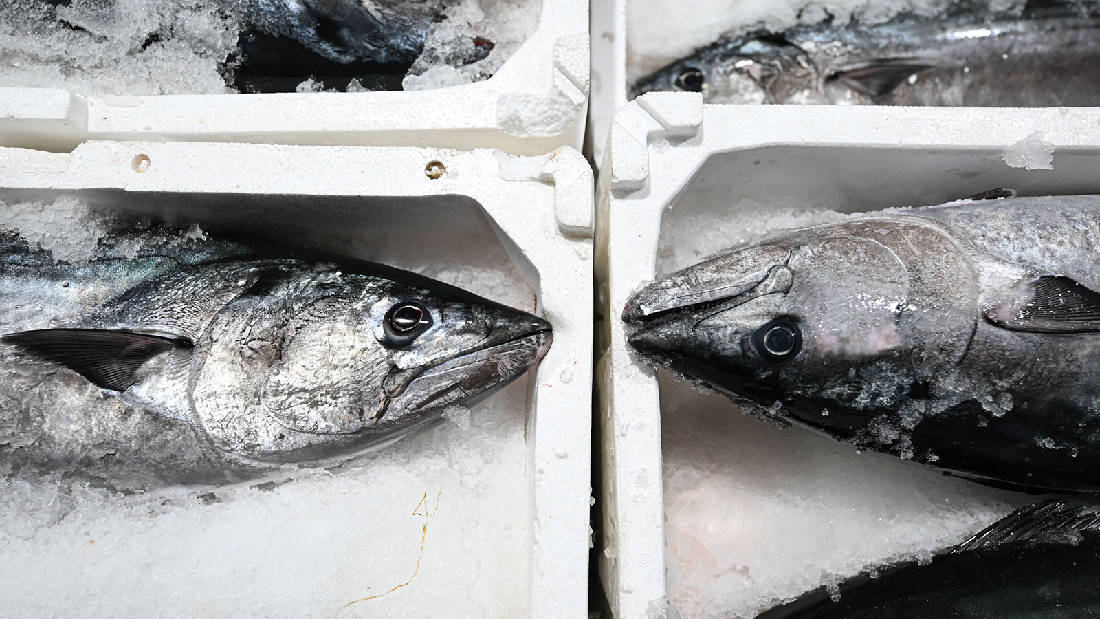 Tarihi İstanbul fotoğraflarında yer alıyordu: 40 yıl sonra geri döndü! Fiyatı 3 bin 500 lira
