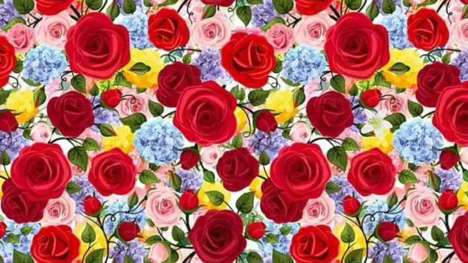 Resimde saklı zambağı 5 saniyede bulanların IQ'su en az 130 çıkıyor