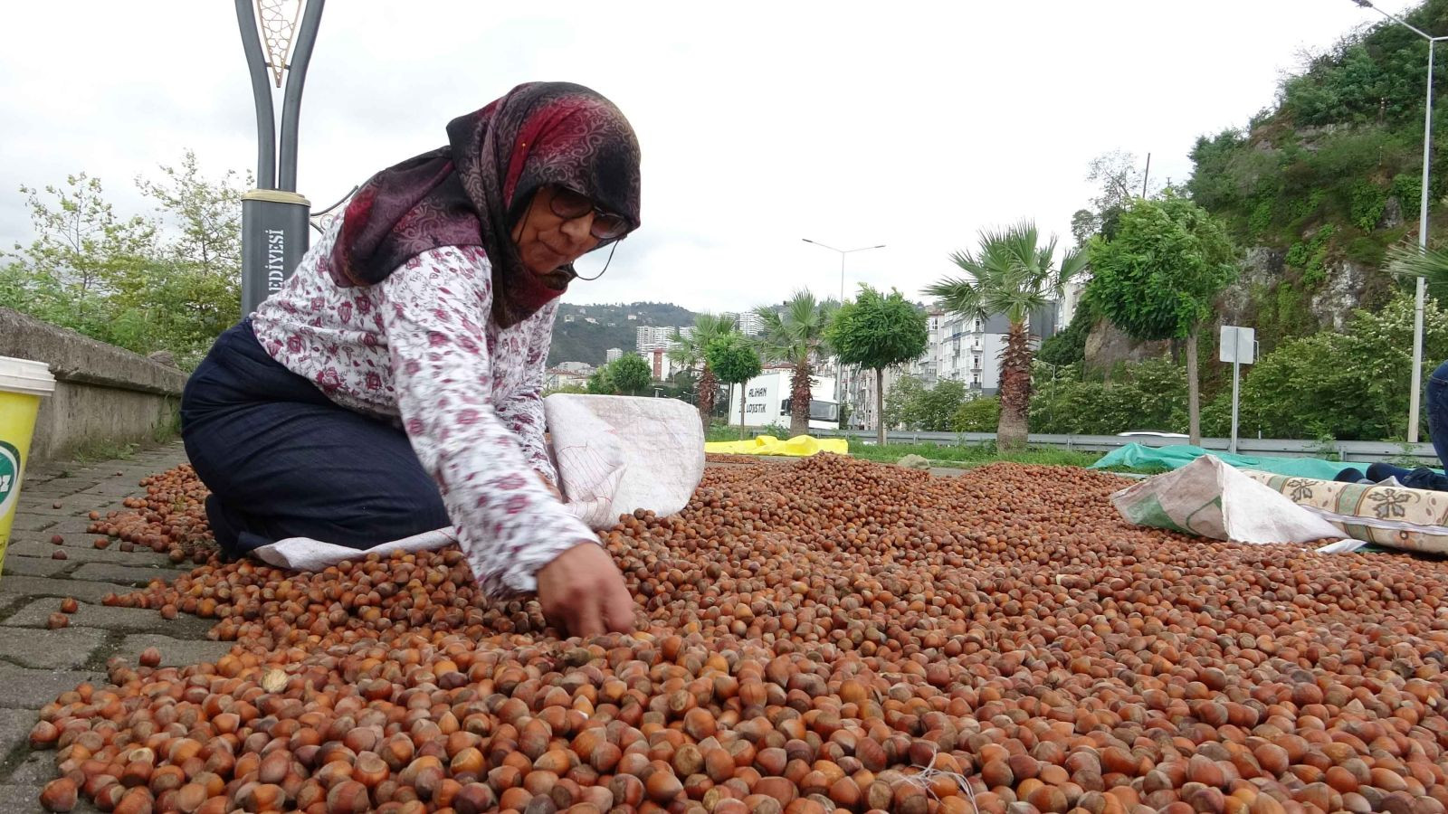 Fındıkta sert geri çekilme: 350 lirayı gören fiyat 275 liraya sabitlendi - Resim: 2