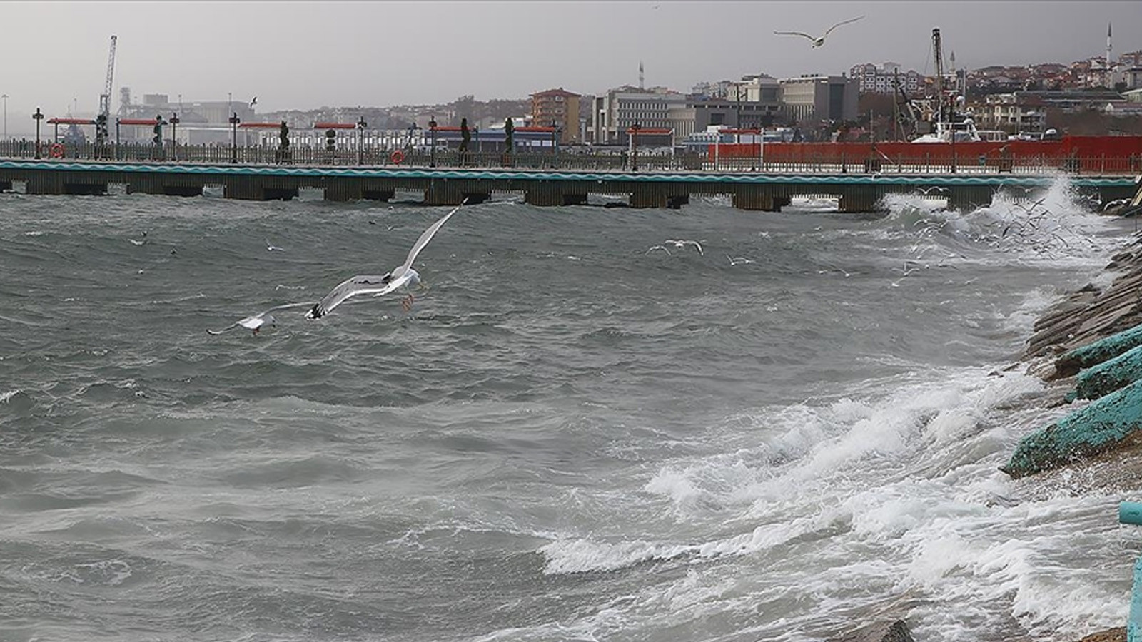 Deniz ulaşımına 'lodos' engeli! 2 gün daha sürecek