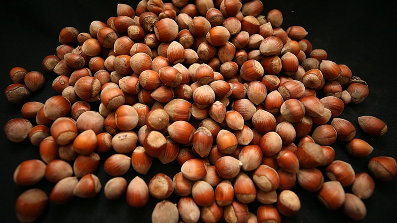 Fındıkta sert geri çekilme: 350 lirayı gören fiyat 275 liraya sabitlendi