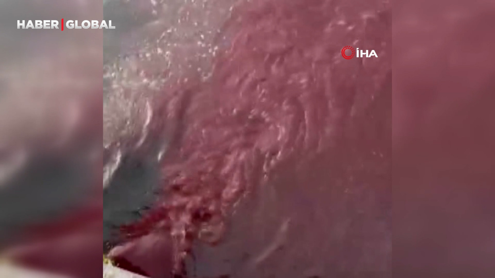 Bandırma'da deniz yüzeyi kırmızıya döndü