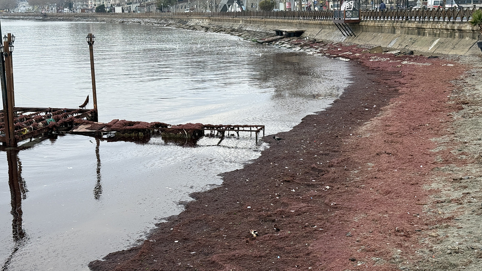 Tekirdağ'da şaşırtan görüntü: Kırmızıya büründü