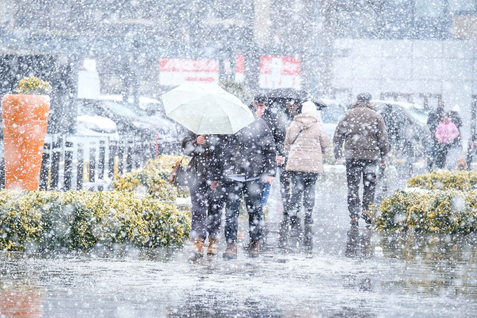 Meteoroloji haritayı yeniledi: 60 kent alarmda, İstanbul için kar uyarısı - Resim: 4