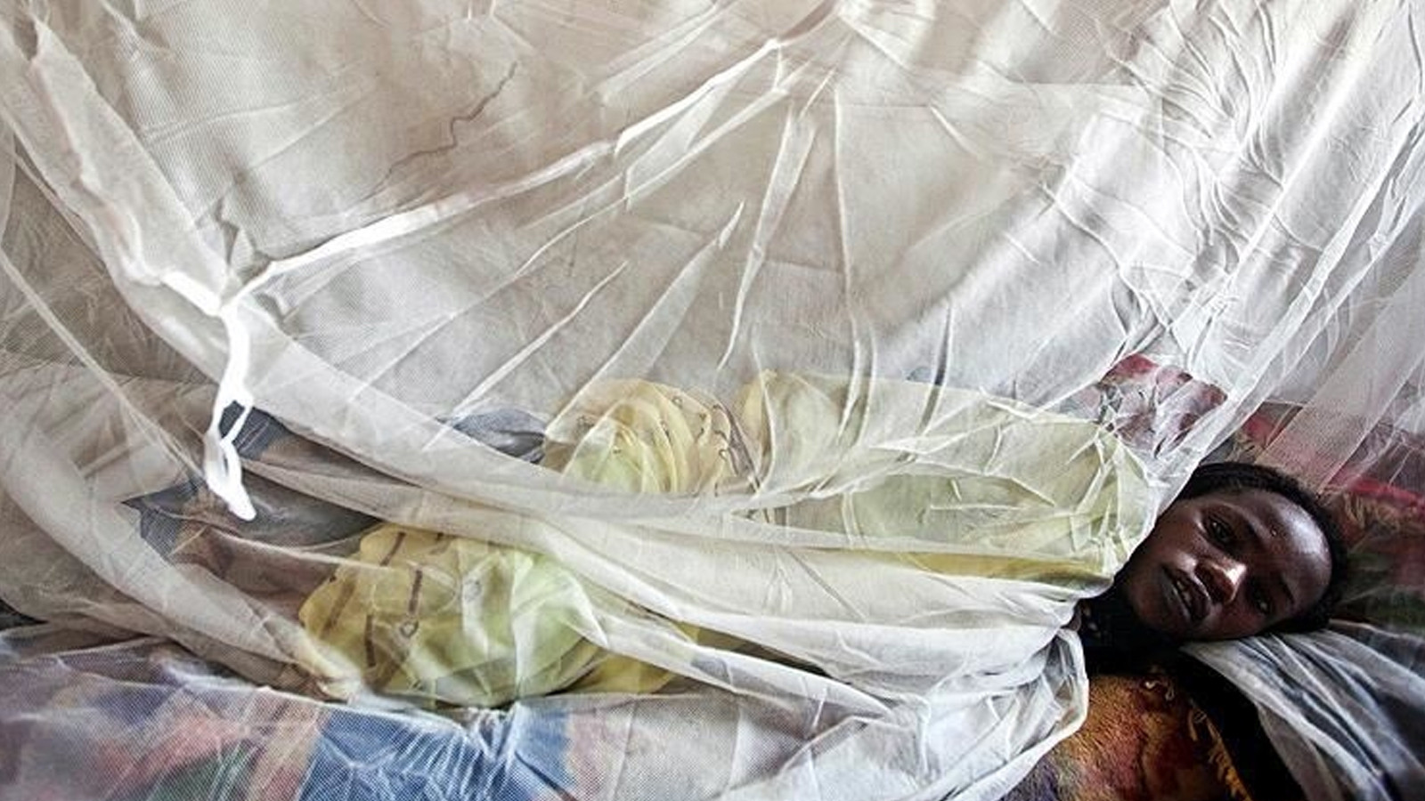 Nijerya'da bu yıl Lassa ateşi nedeniyle 17 kişi hayatını kaybetti