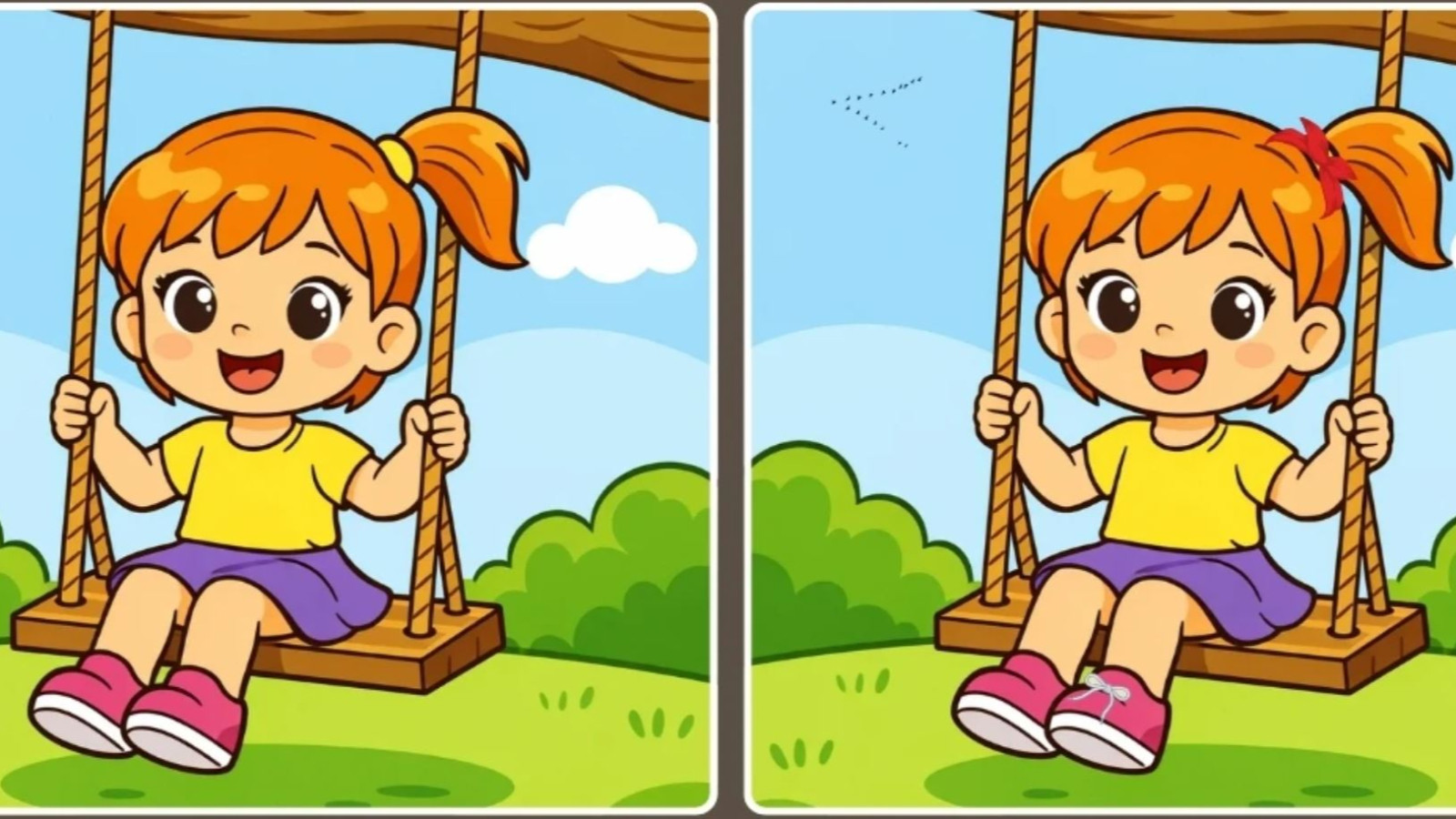 İki salıncak resmi arasındaki farkları sadece dahiler buluyor