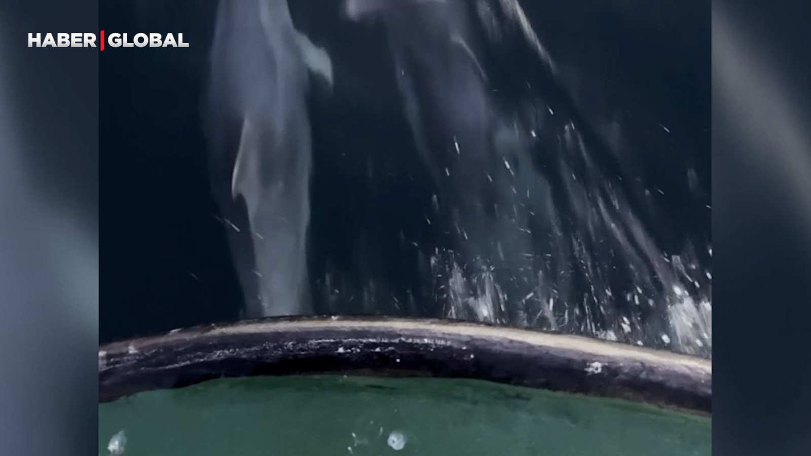 Samsun’da balıkçıları şaşırtan olay!