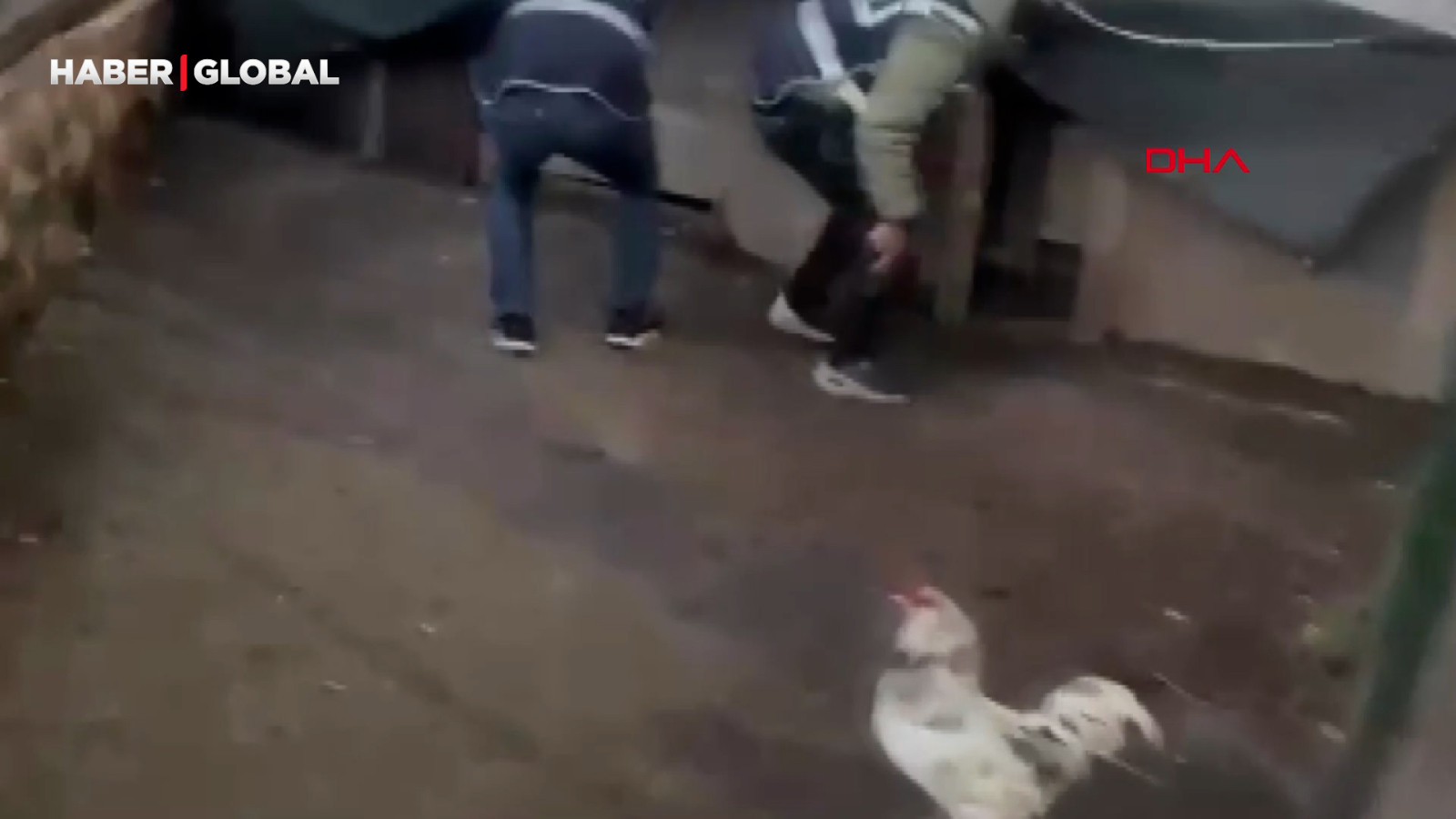 44 yıl 7 ay hapis cezası olan firari, saklandığı kümeste öksürünce böyle yakalandı