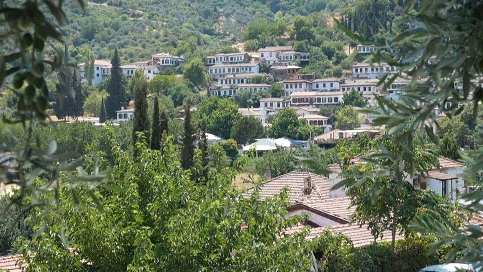 Türkiye'nin en ilginç köy isimleri: Panik, Dertli, Sinek...