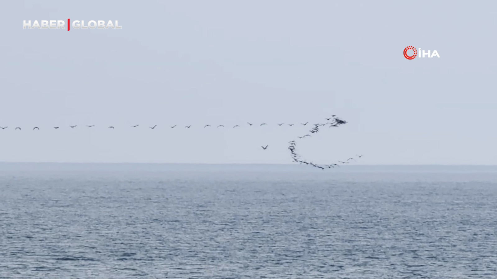 Göç yolundaki kuşların senkronize uçuşu Hopa’da görüntülendi
