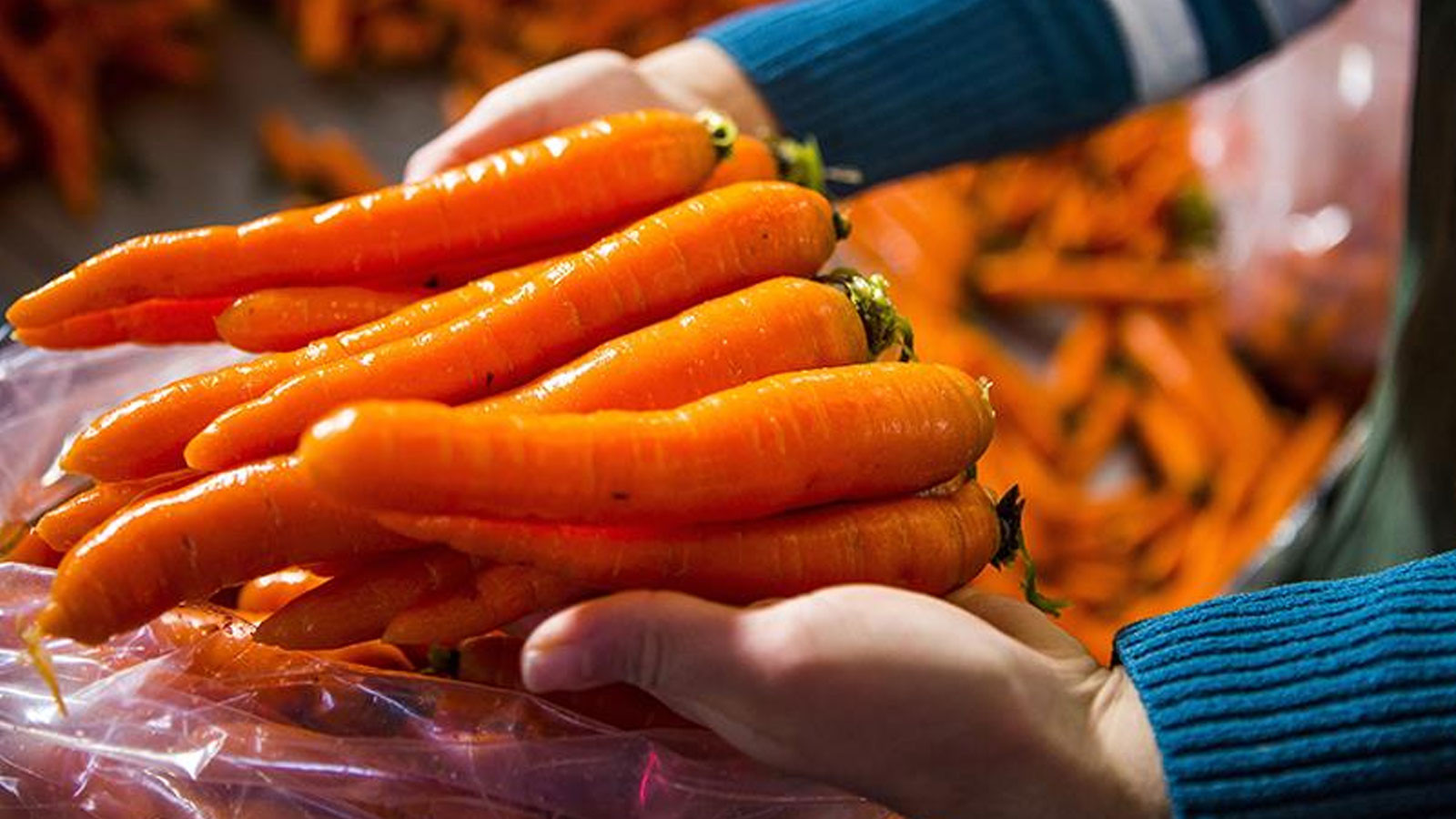 Bayraktar: "Ocak ayında üretici ve market arasındaki fiyat farkı en fazla yüzde 278,1 ile havuçta görüldü"