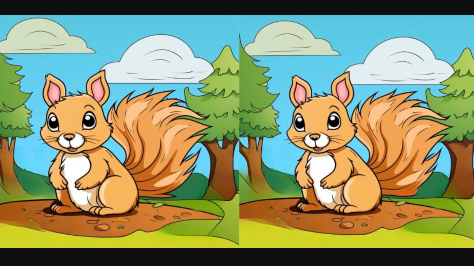 İki sincap arasındaki 3 farkı sadece dahiler buluyor