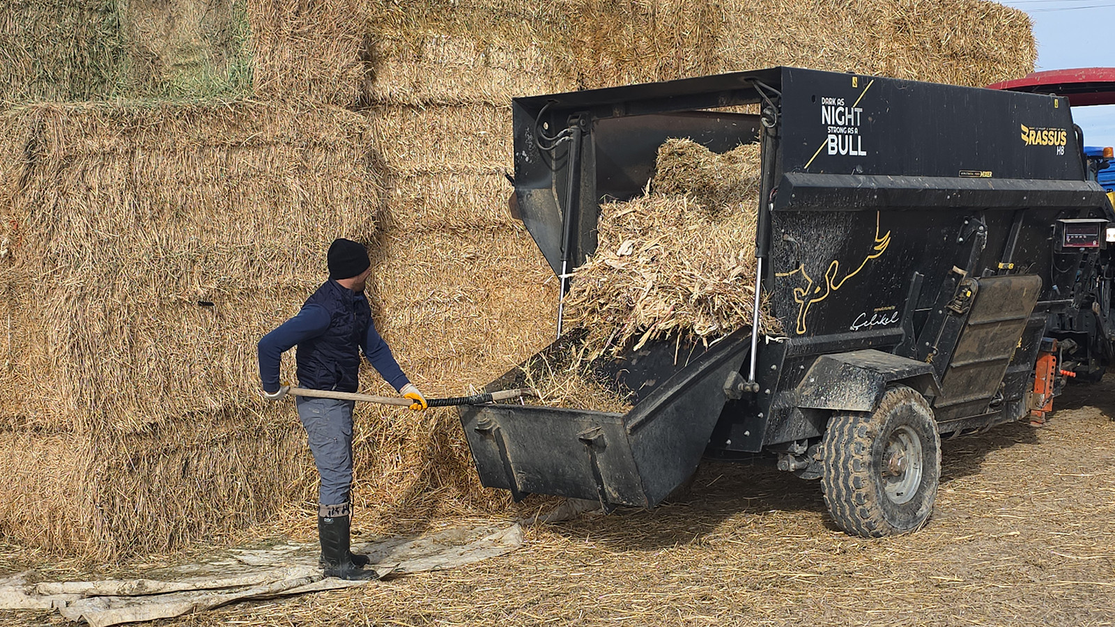 Ailesinden işi öğrendi, devletten aldığı destekle çiftlik kurdu