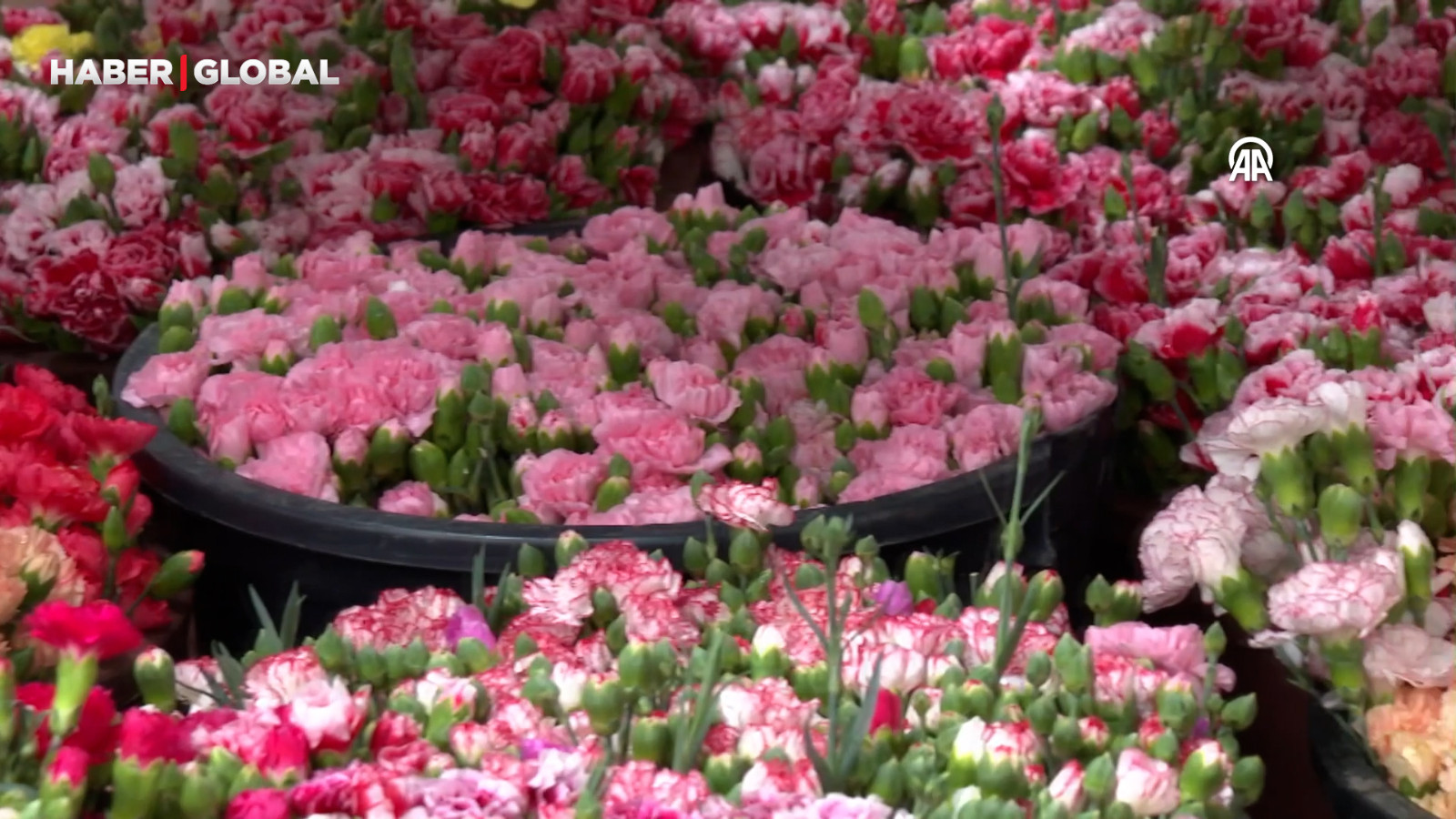 Çiçek sektöründe Sevgililer Günü yoğunluğu başladı