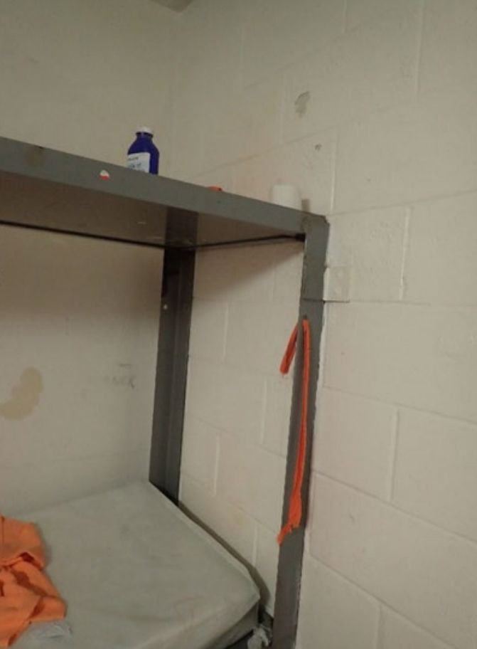 Epstein'in ölüm gecesi kayıtlarındaki 'turuncu' sır! - Resim: 6