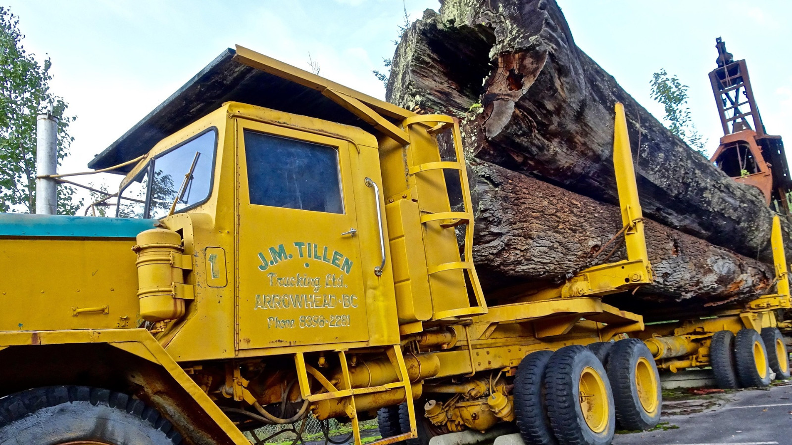 ABD helikopterlerle binlerce kütüğü nehirlere bırakıyor: Amaç tarihî bir hatayı düzeltmek