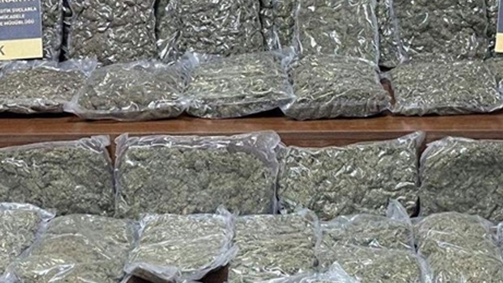 Bakan Yerlikaya: "240 kg Skunk uyuşturucu maddesi ele geçirdik"