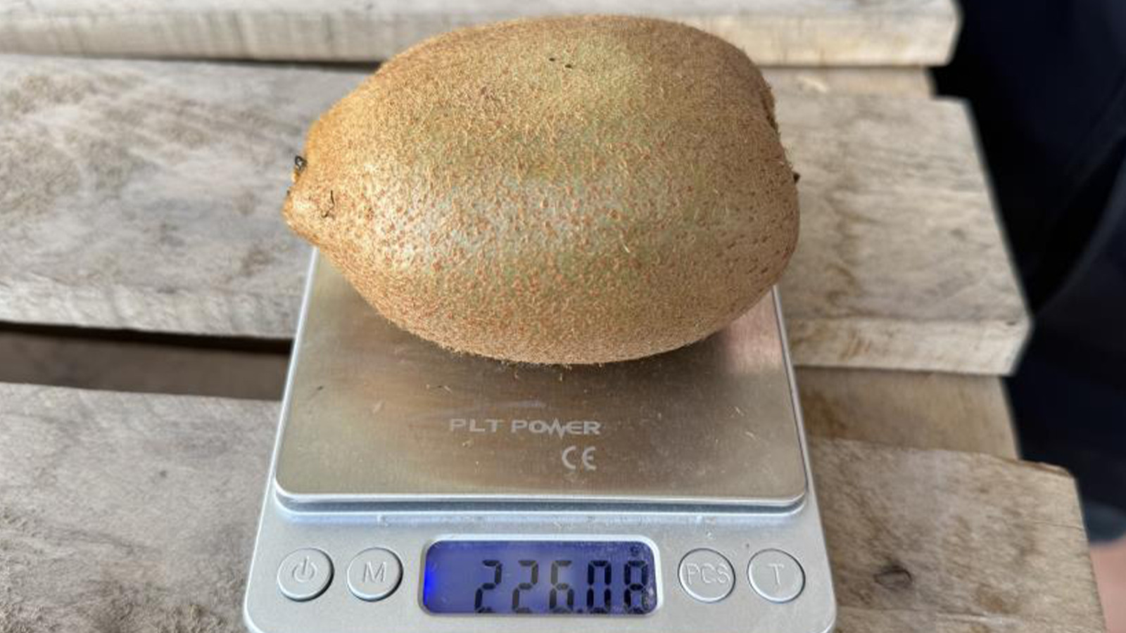 Tarım tarihinde böylesi ilk kez yaşanıyor; "meyve" değil rekor ürün