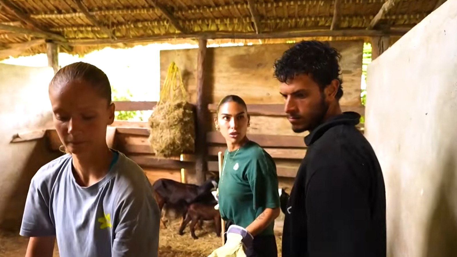 TV8 izle! Survivor yeni bölüm izle