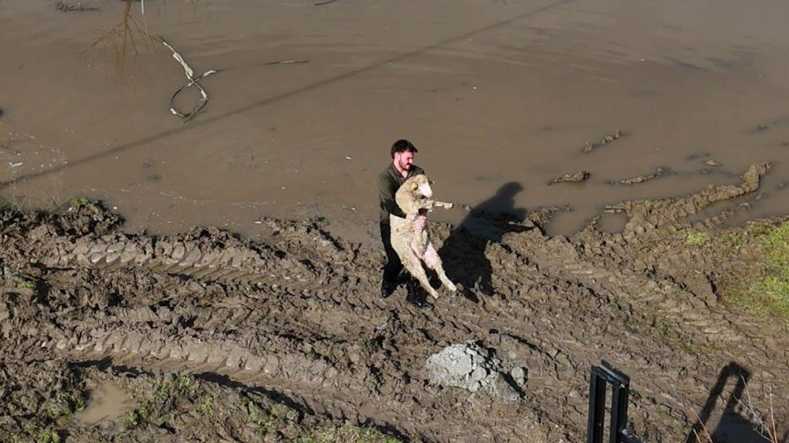 Meriç Nehri taştı; yerleşim yerleri sular altında kaldı, çiftçiler zamanla yarıştı