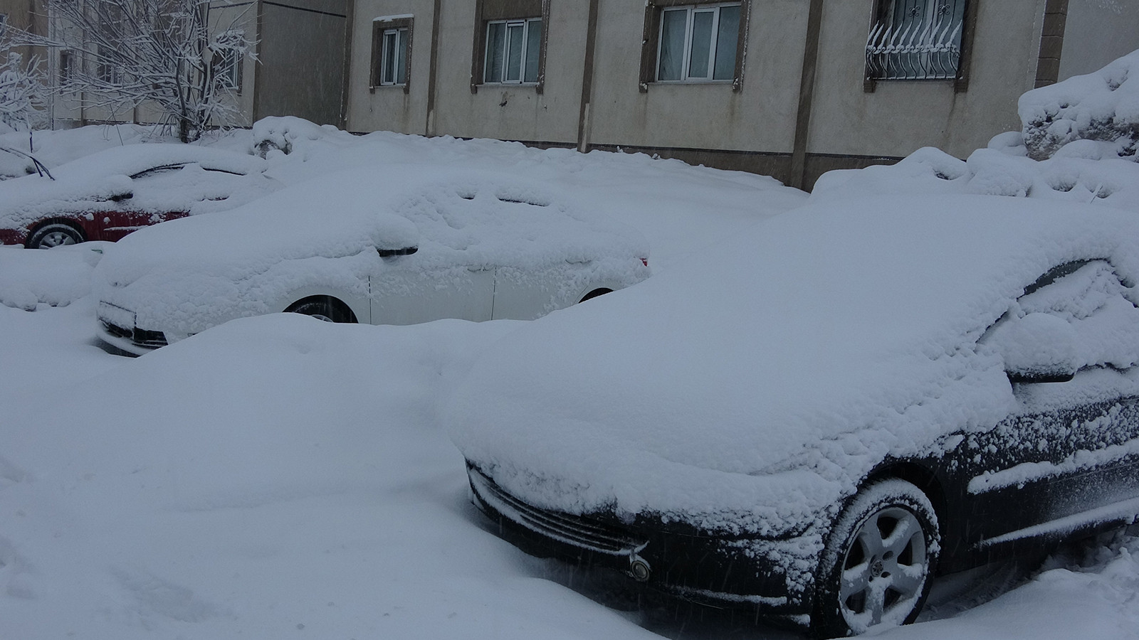 Bitlis'te kar 30 santime ulaştı, yollar kapandı