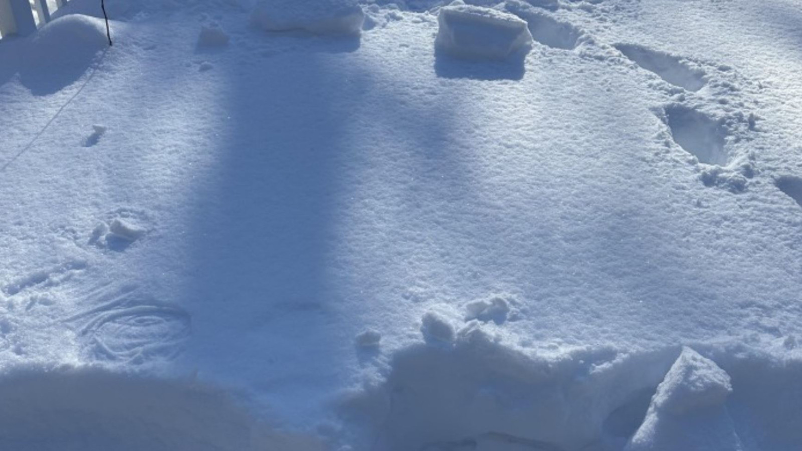 Resimde gizli kulaklığı sadece gerçek dahiler bulmayı başarıyor