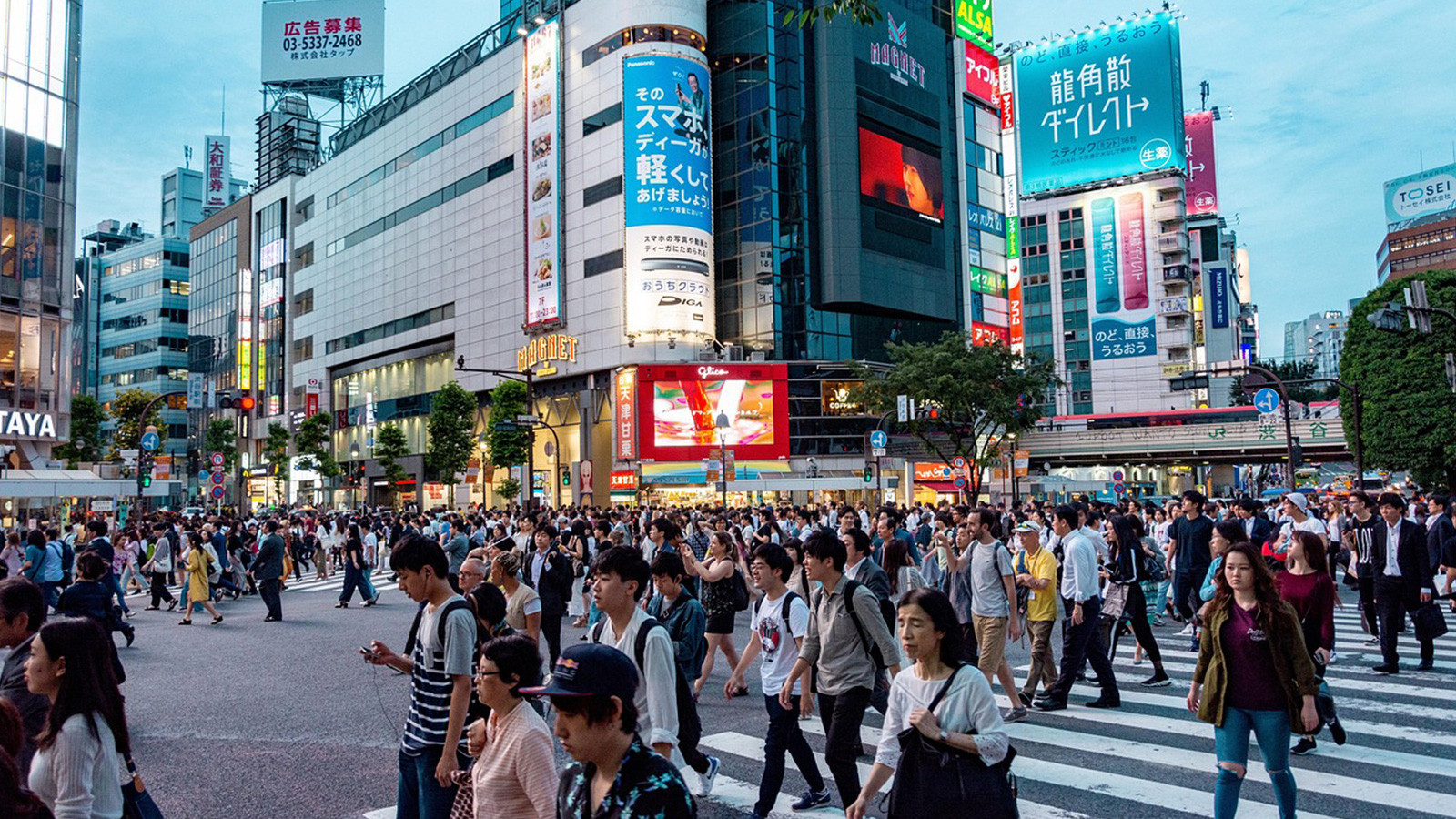 Dünyanın en zengin şehirleri belli oldu
