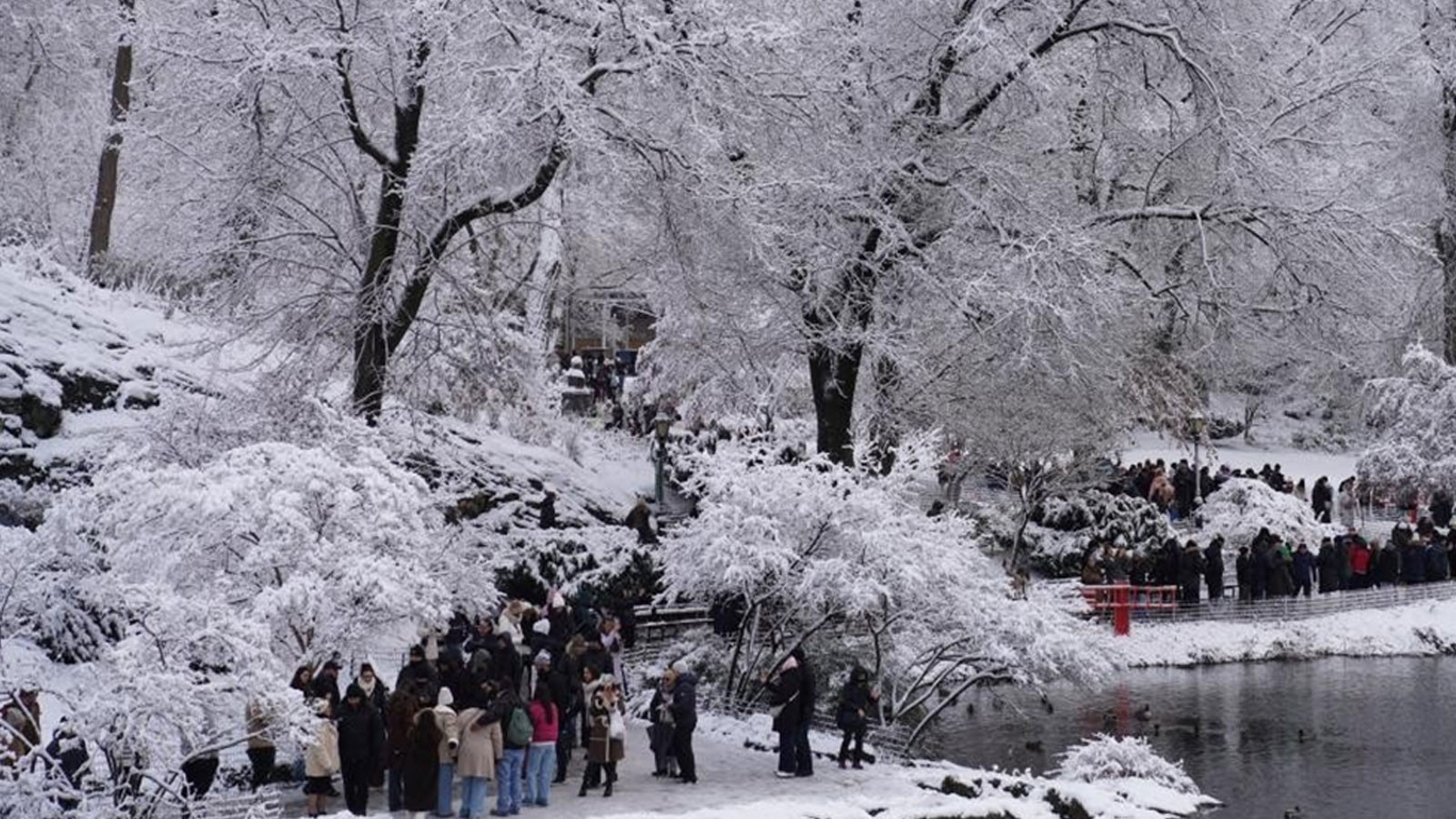 New York’ta soğuk hava 18 can aldı
