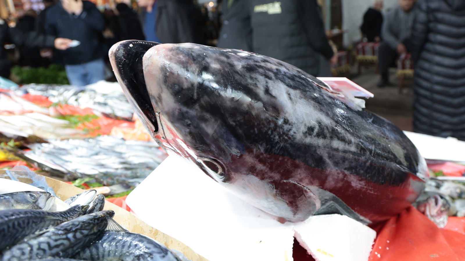 Akdeniz'de yakalandı, Elazığ'da satışa çıkarıldı: Kilosu 650 TL!