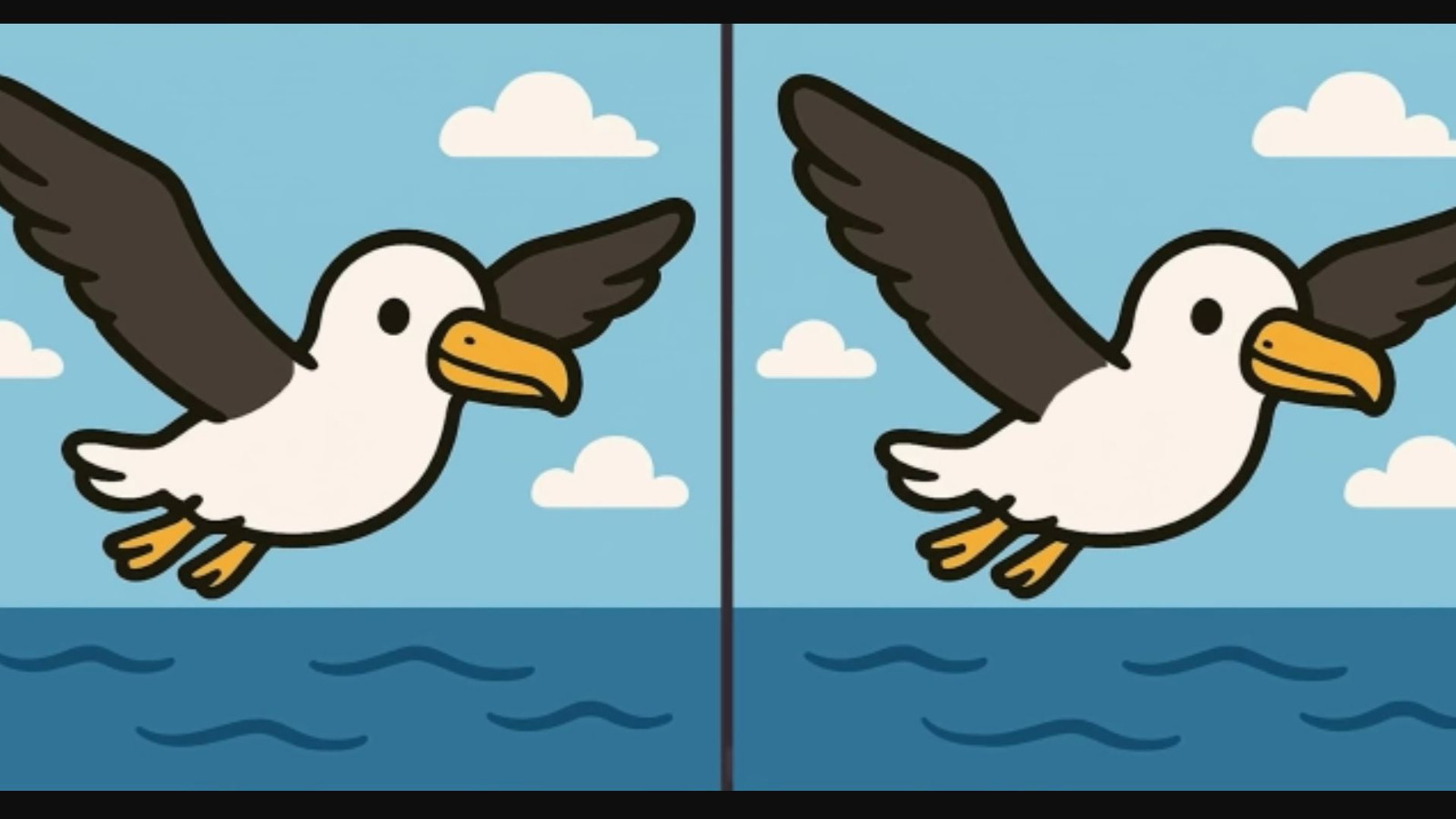 İki küçük martı arasındaki 3 farkı sadece dahiler buluyor