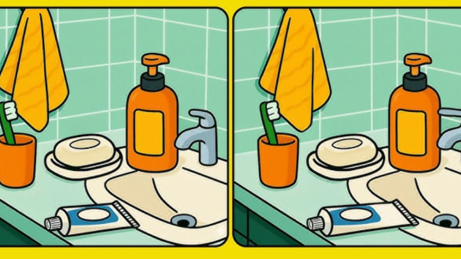 İki lavabo arasındaki 1 farkı sadece yüksek IQ'su olanlar buluyor