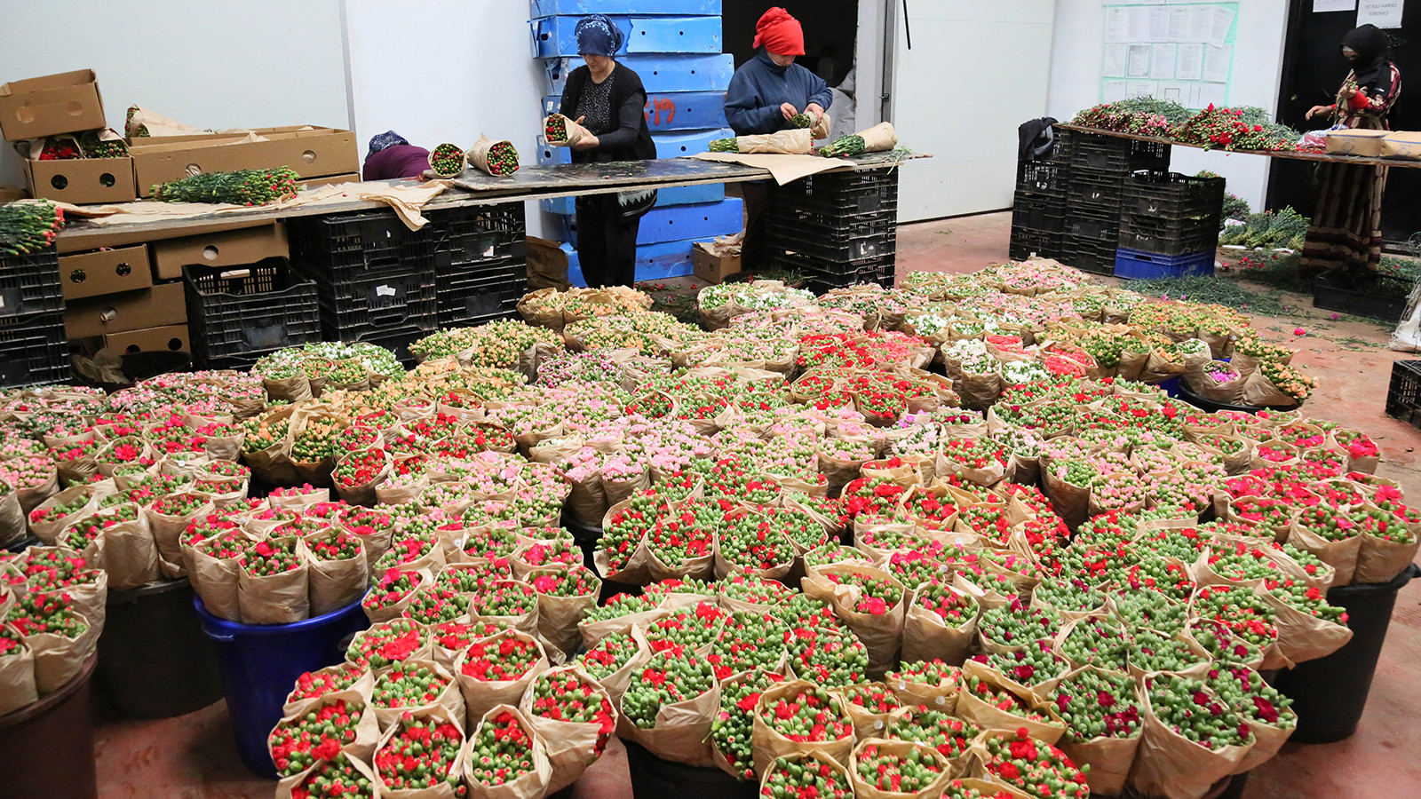 İhracat rekoru geldi: Antalya'da üretiliyor, talep yağıyor