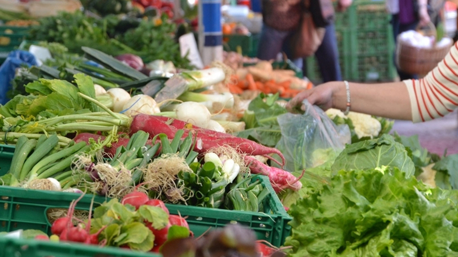 İstanbul Gıda Toptancıları Çarşısı esnafı fiyat sabitledi