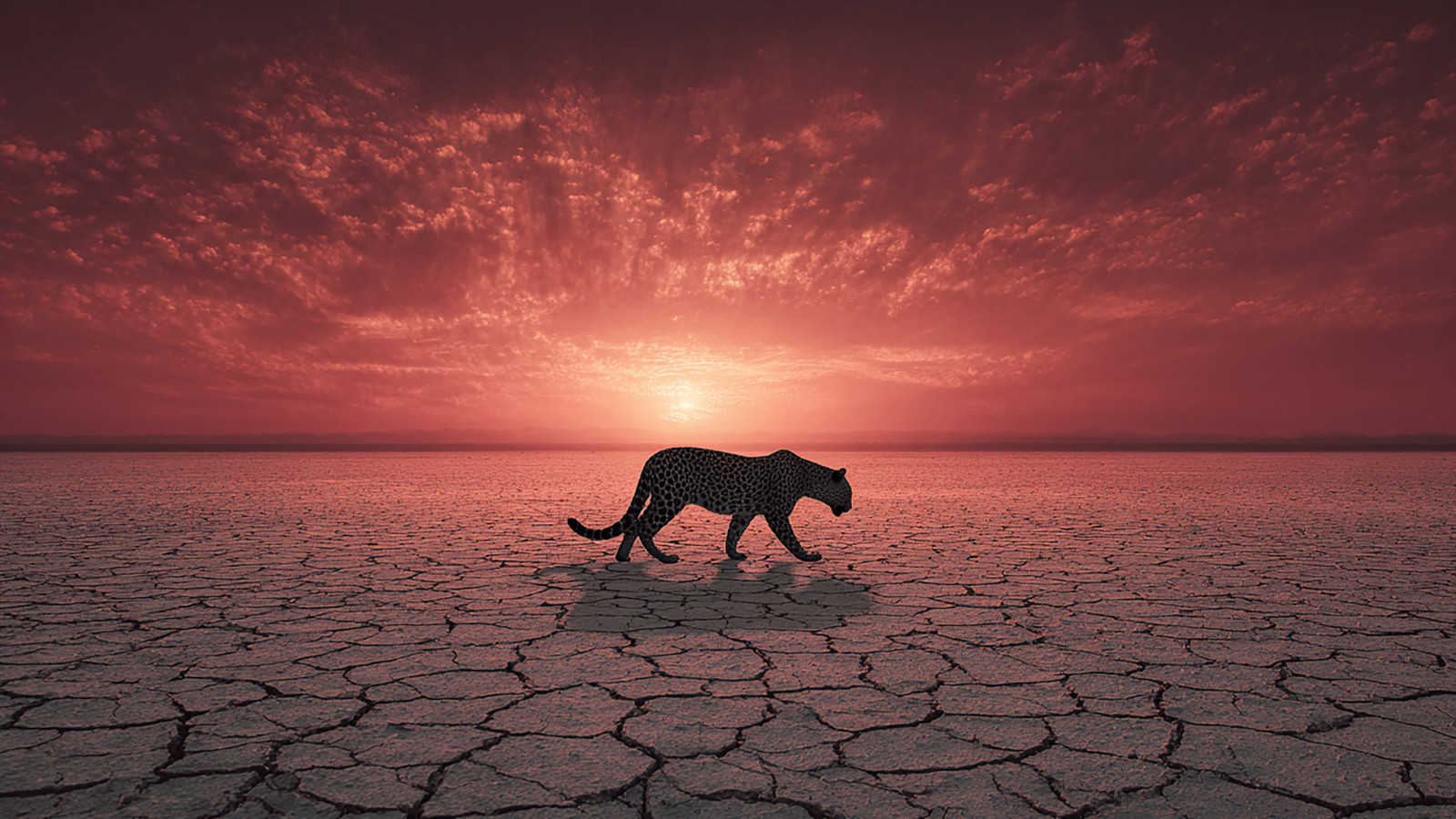 Bilim insanlarından uyarı: Küresel ısınma her an kontrolden çıkabilir