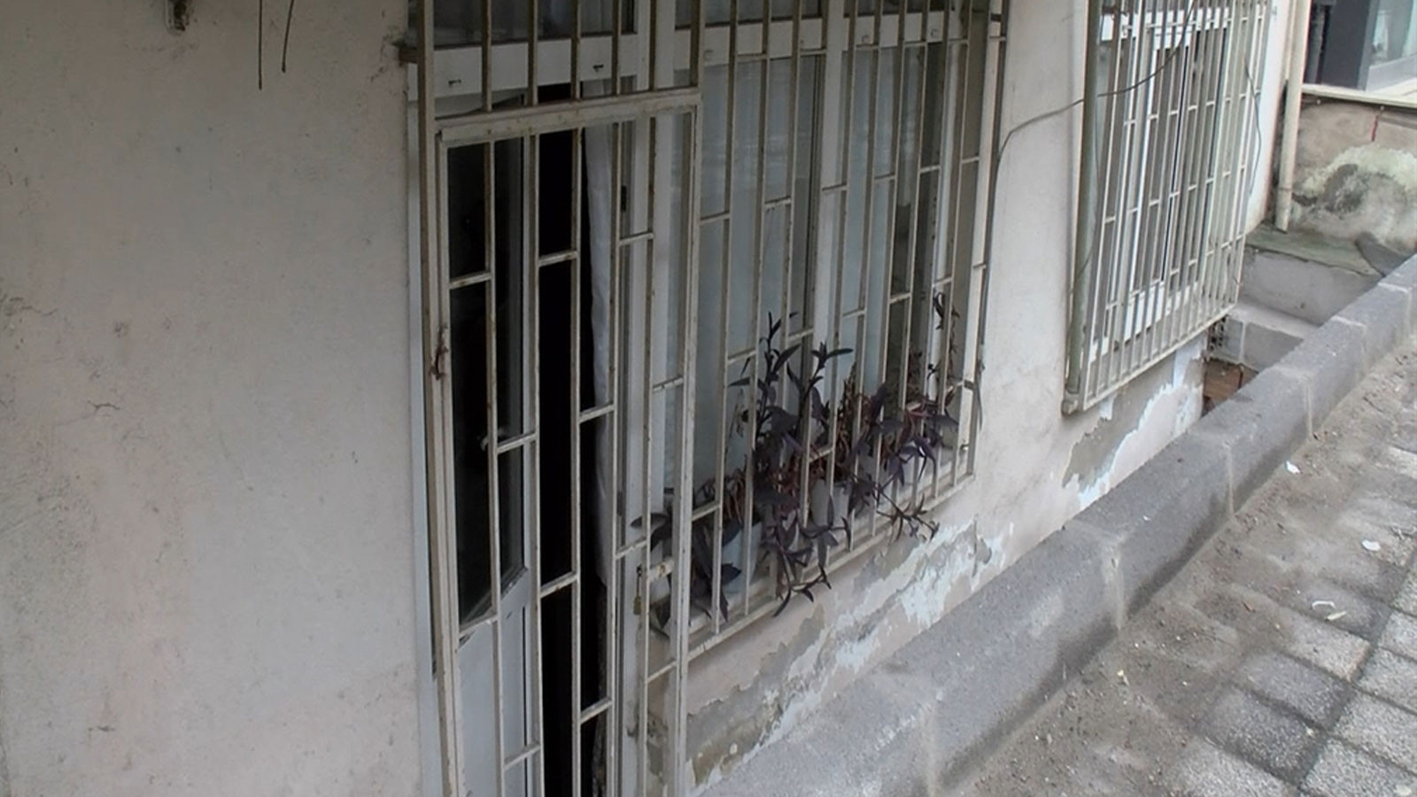 Ümraniye’deki kesik baş cinayetinde flaş gelişme: 2 şüpheli tutuklandı