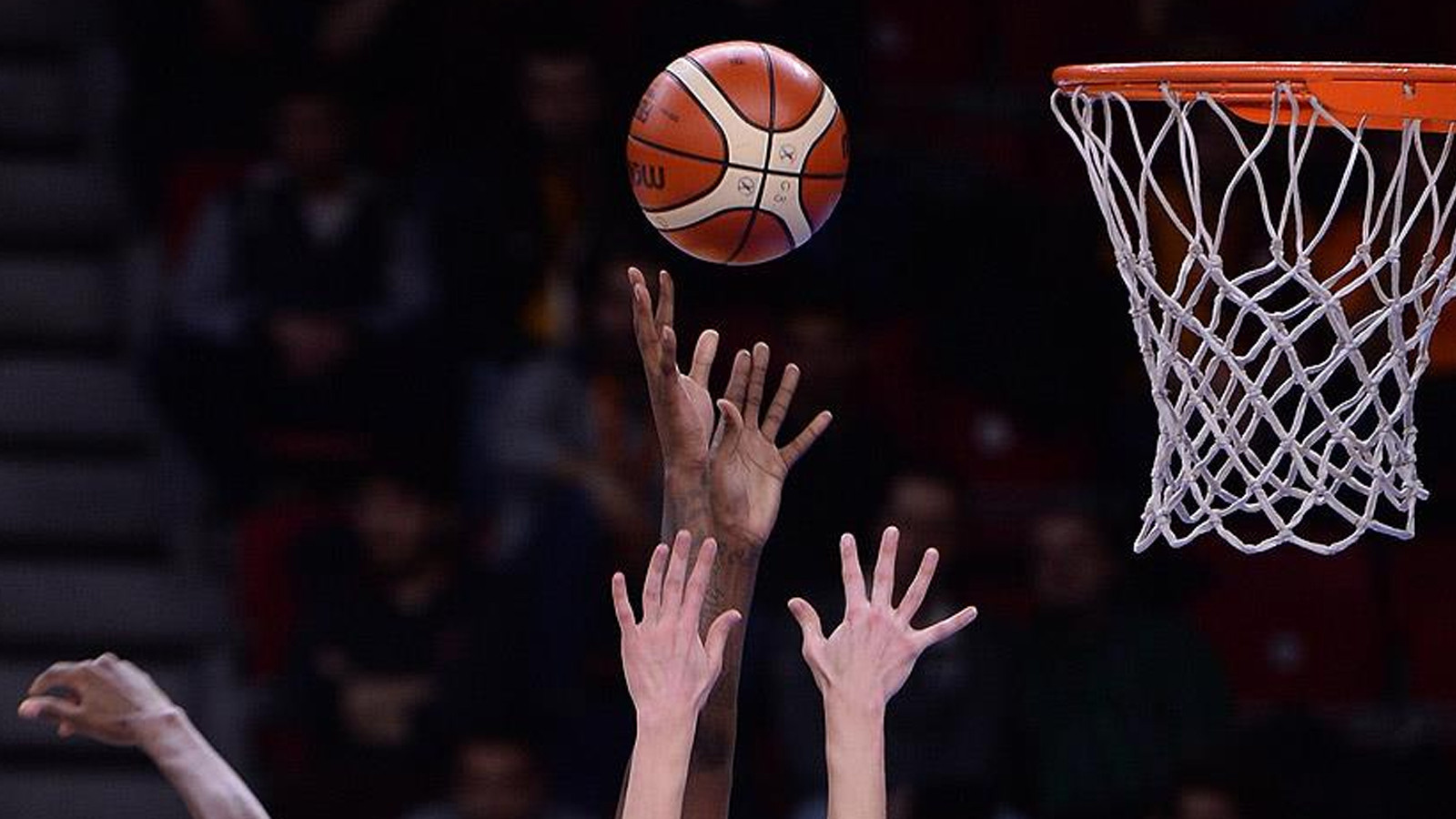 Türk takımları, Avrupa basketbolunun "lideri" oldu