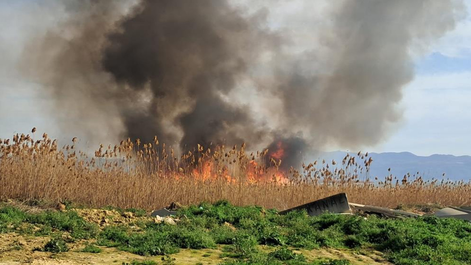 İznik'te sazlık yangını: Rüzgarla büyüyor